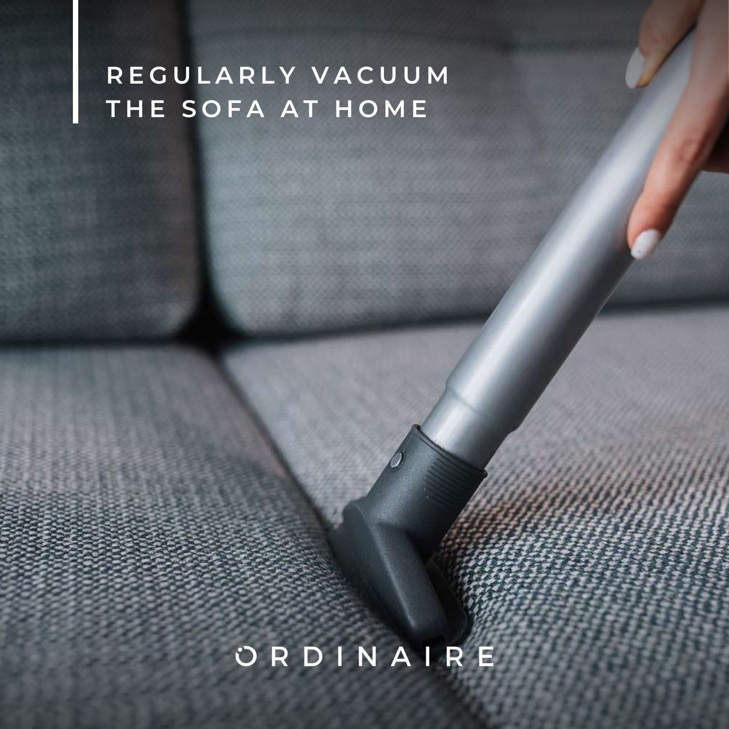 Vacuum your home regularly