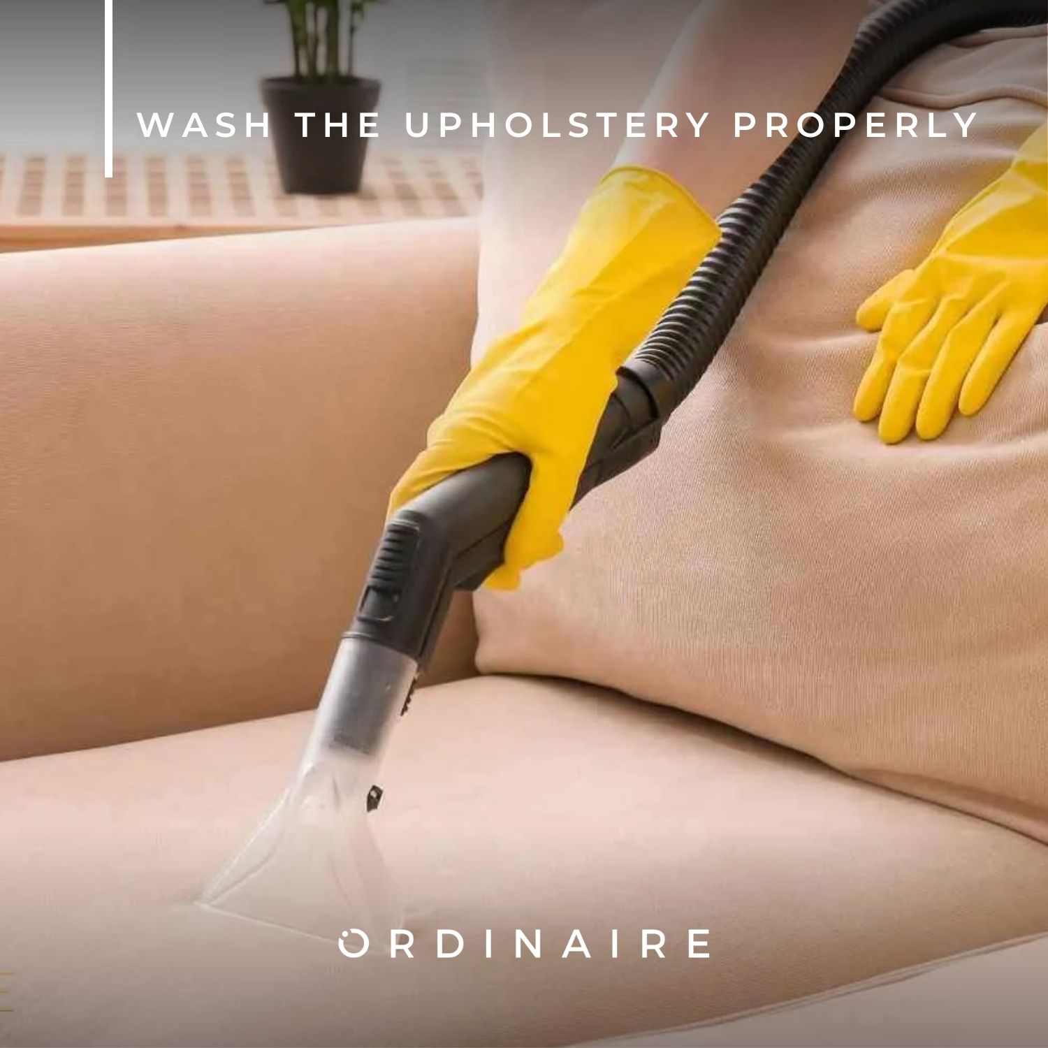 Wash the sofa upholstery properly through laundry symbols 